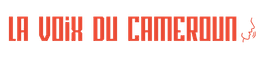Voix du Cameroun logo