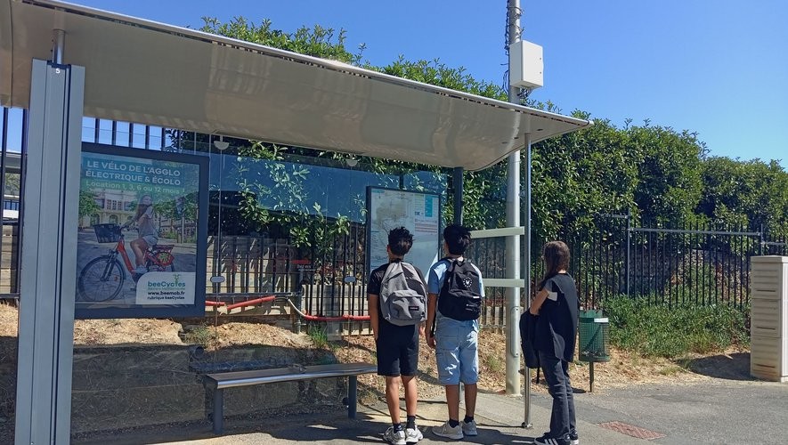 Transports scolaires : quand la France s'inspire du chaos, le Cameroun montre l'exemple